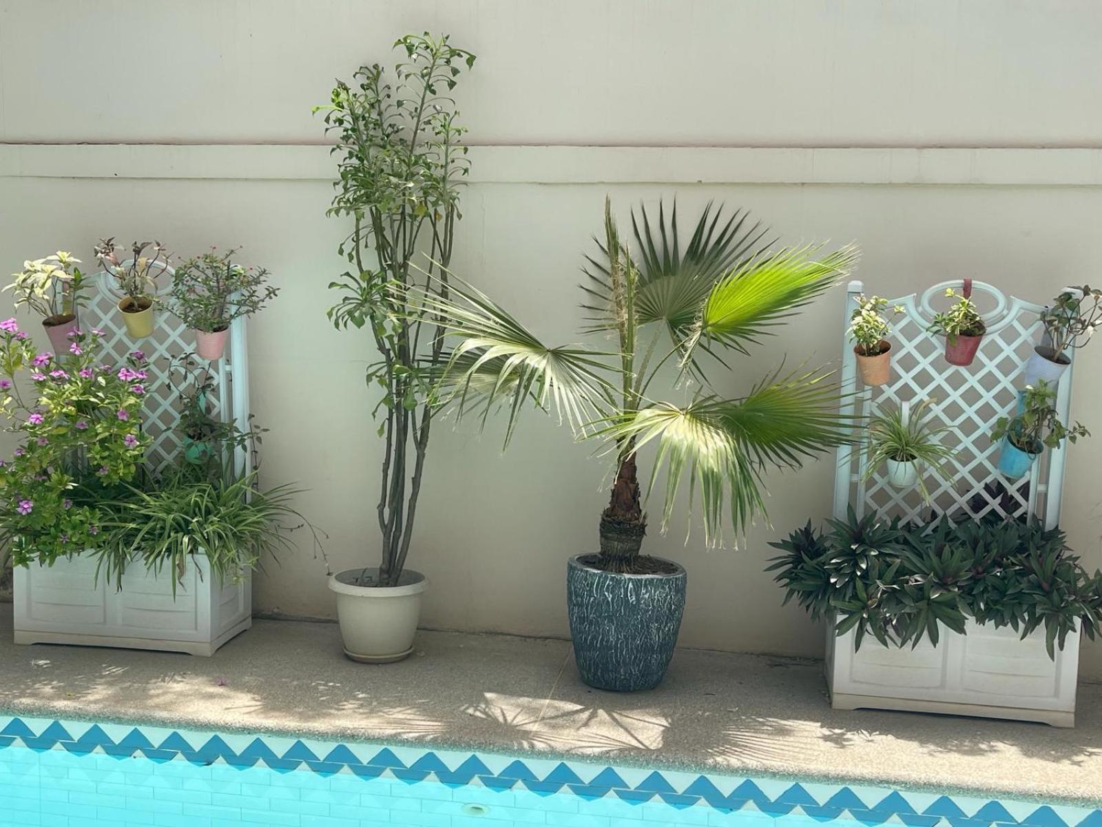 Villa Ngore Saly Екстериор снимка